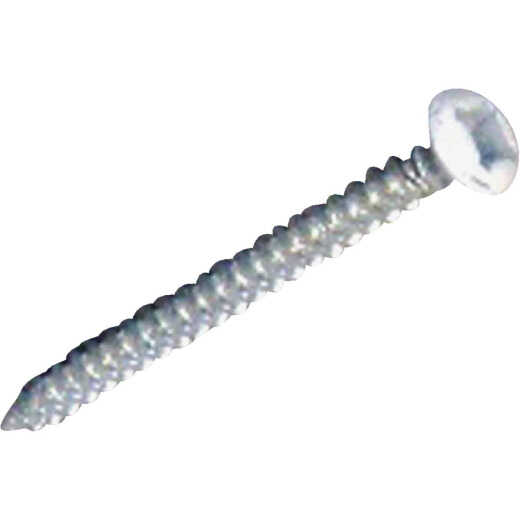 United States Hardware Oval Steel Rosette Button Specialty Screw (100 Ct.)